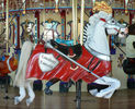 Carousel Works Outside Row Jumper
